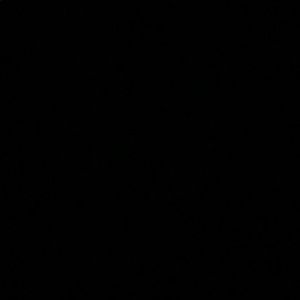 Meet your Posher, Charlene